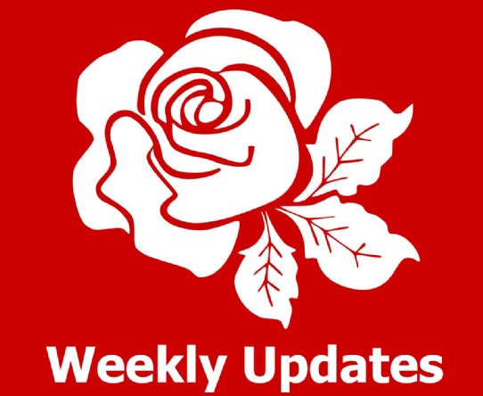 Week 3 - Summer 1 - Weekly Update