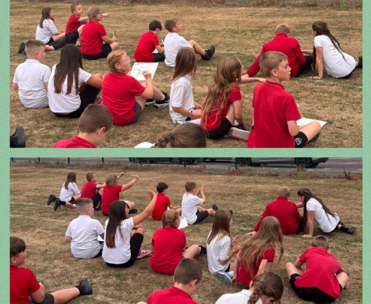Geographical Fieldwork