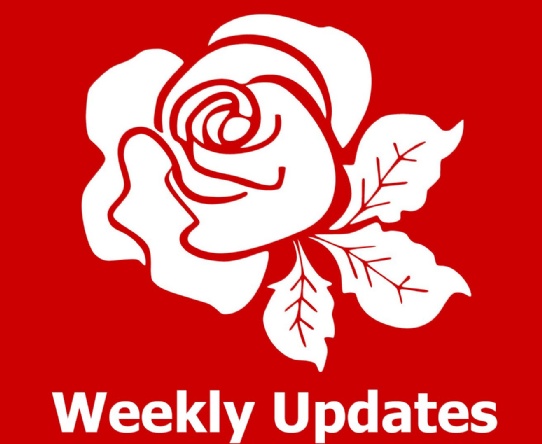Weekly Update